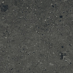 G215-ArkaimBlack МR
