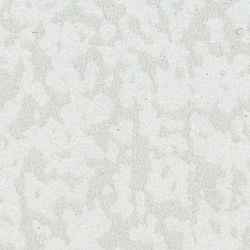  LM 0801
