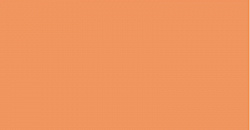Your Color
